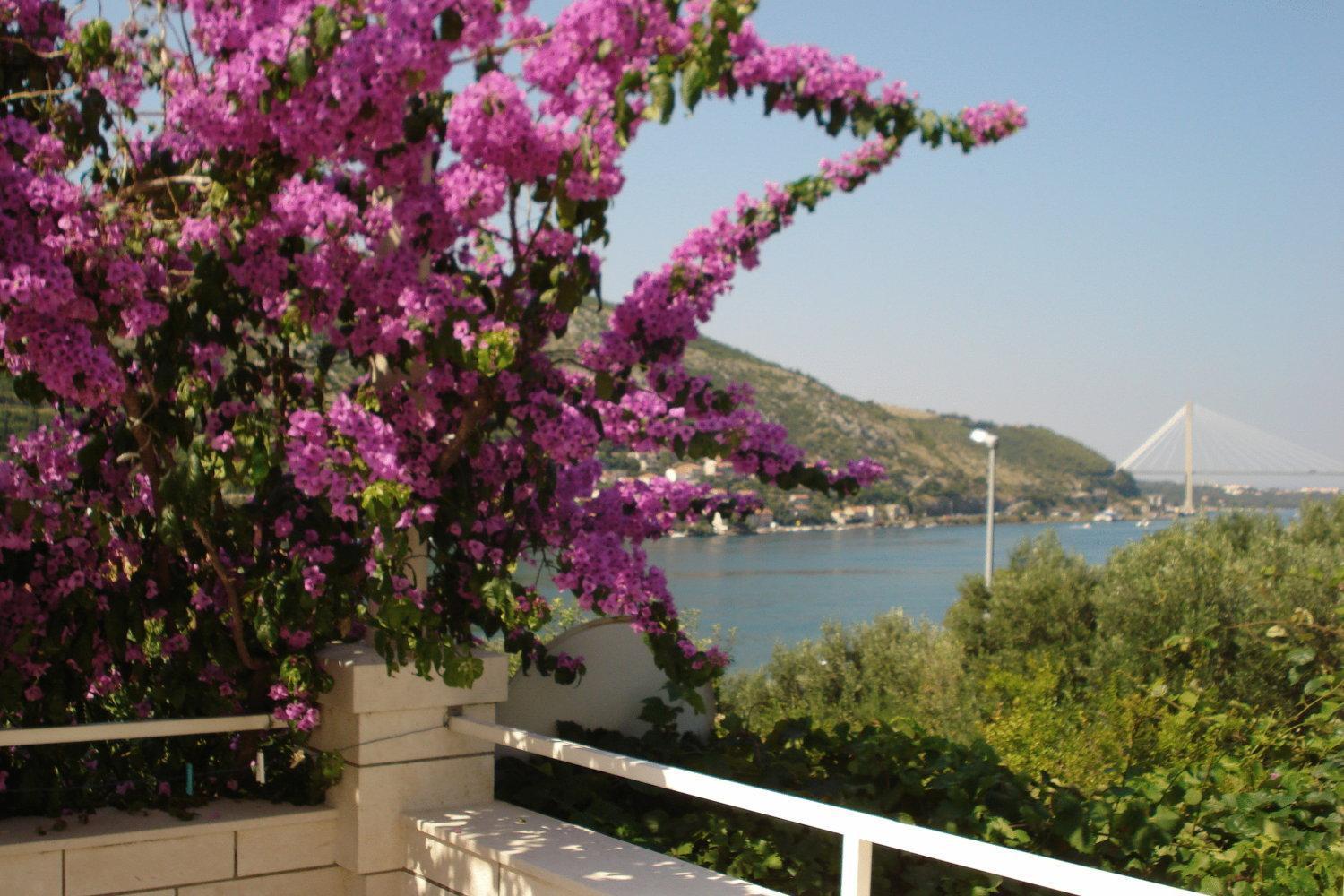 Apartments Husanovic Mokošica Exteriör bild