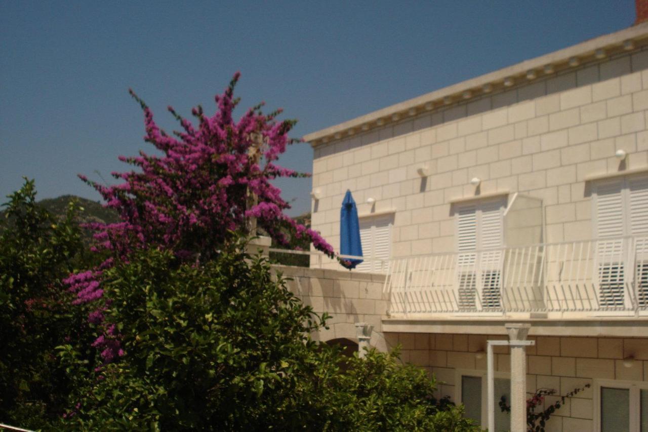 Apartments Husanovic Mokošica Rum bild